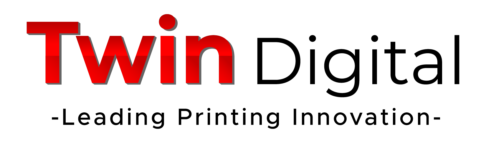 System Twindigital